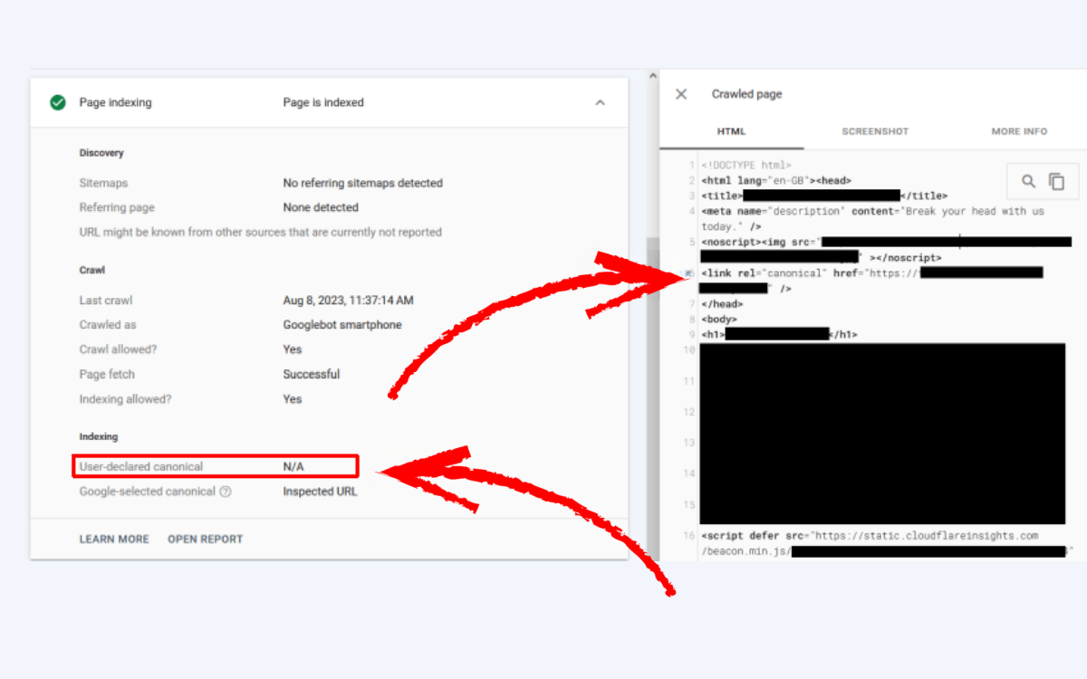 the-canonical-dat-sai-vi-tri-trong-head